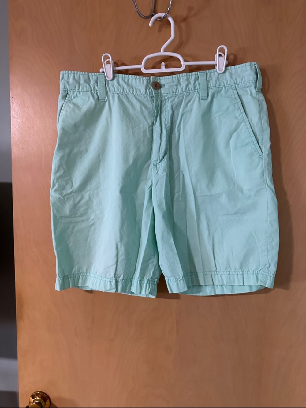 Men’s Izod Saltwater Mint Green Flat Front Cotton Shorts